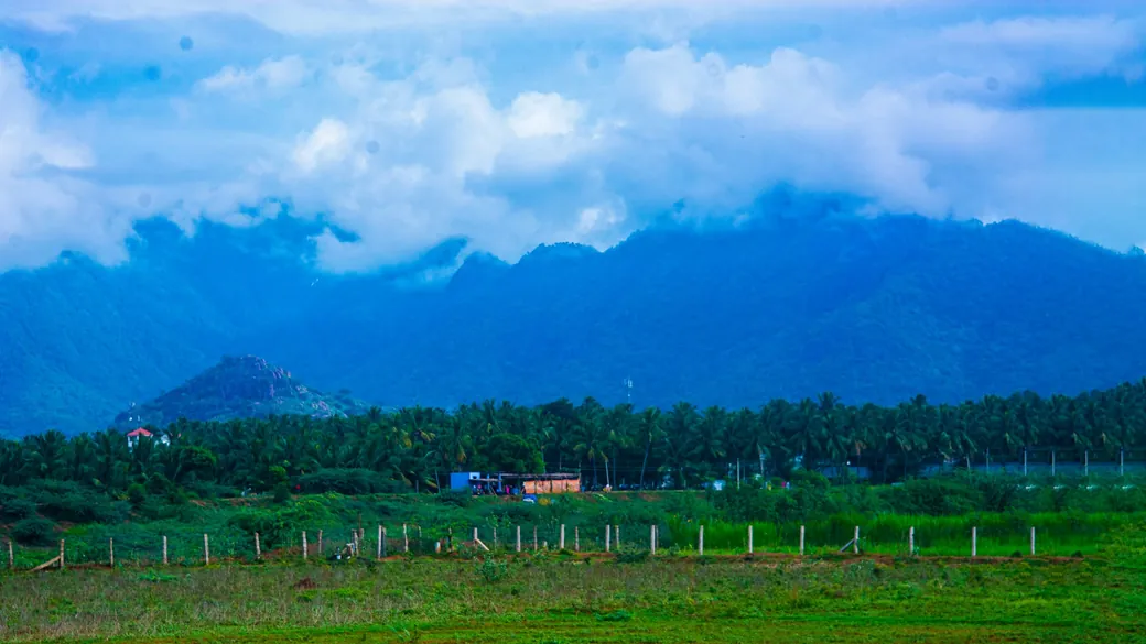 Green fields below blue mountains, with a line of coconut palms, near Dindigul